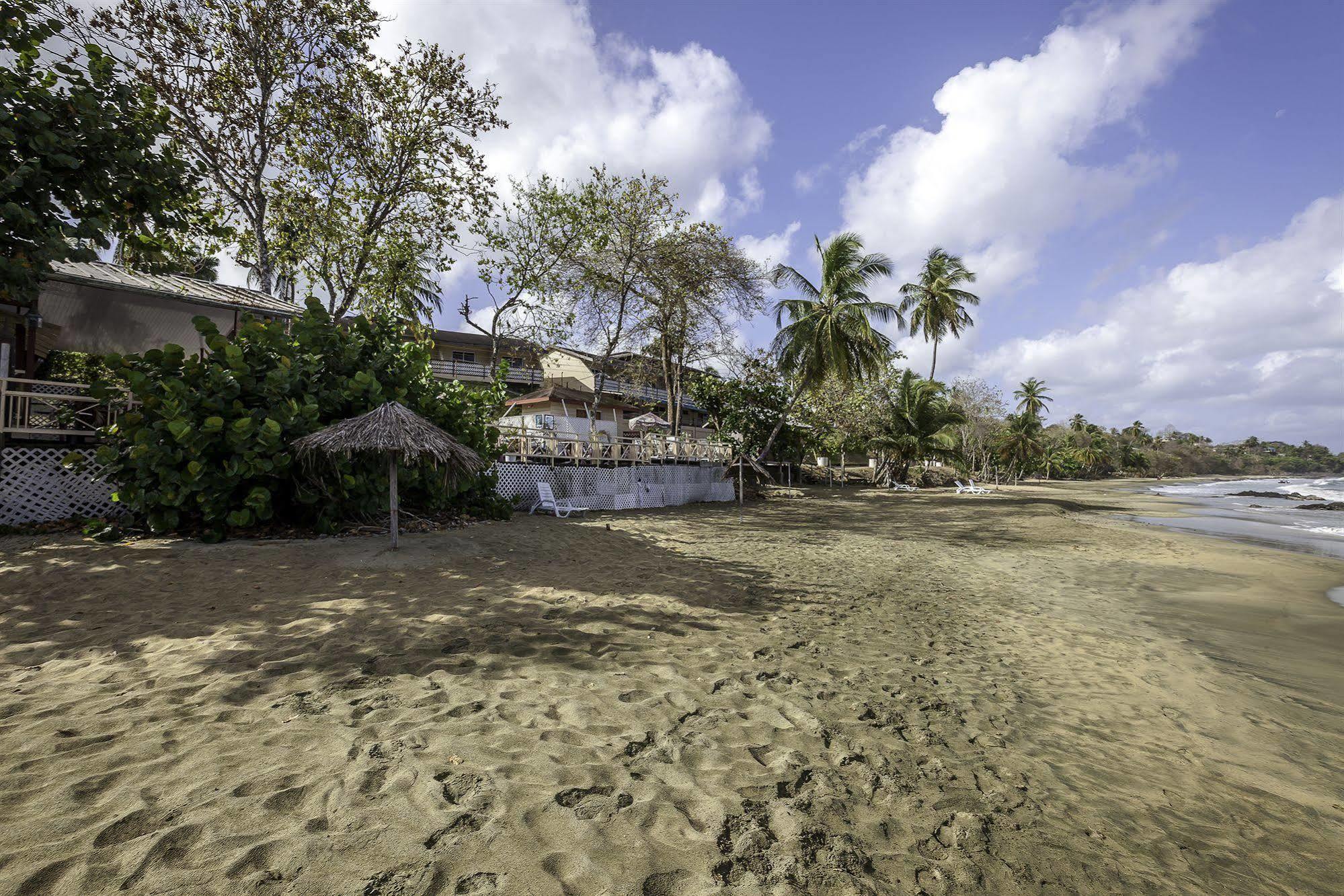 Grafton Beach Resort Black Rock Exterior photo
